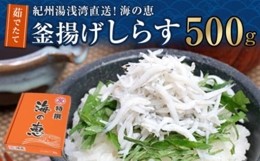 紀州湯浅湾直送！海の恵　茹でたて釜揚げしらす　500g　【冷蔵】