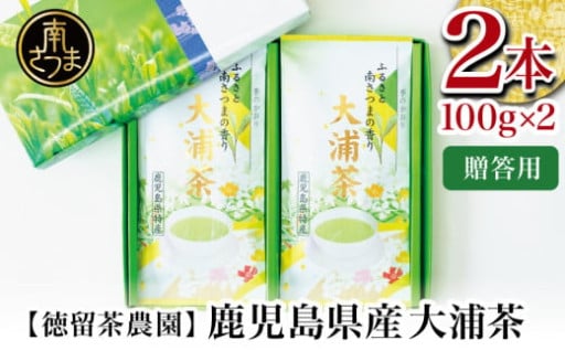 土作りから夫婦で丁寧に育てた大浦の減農薬一番茶
