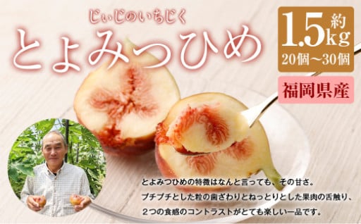 じぃじの いちじく 【 とよみつひめ 】約1.5kg