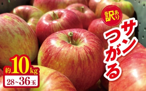 【2025年先行予約】やまし平林農園 訳あり サンつがる 約10kg