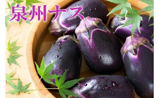 絶品夏野菜が登場！泉州の特産品「泉州水なす」