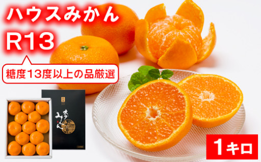 【糖度13度以上！】プレミアムハウスみかん1kg