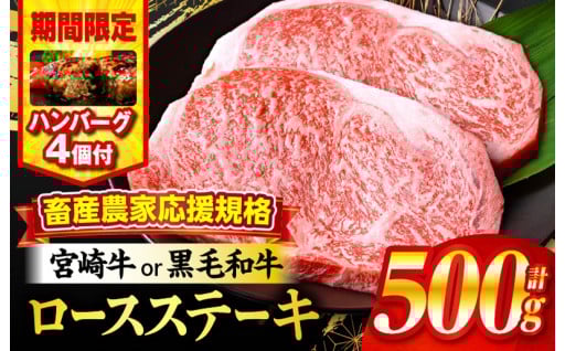 【宮崎県宮崎市】🥩ロースステーキ ハンバーグ付🥩