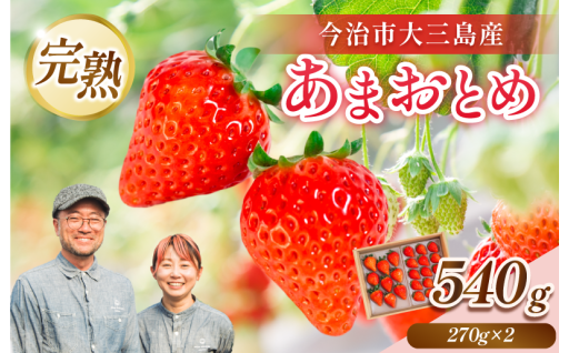 甘～い完熟いちごの先行予約受付スタート！