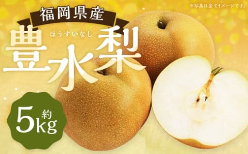  豊水梨 約5kg 9～12玉【2025年8月上旬～9月上旬発送】