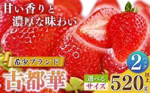 【サイズが選べる！】平群の古都華 扇田農園