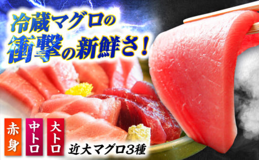 五島市から新鮮なマグロをお届け！