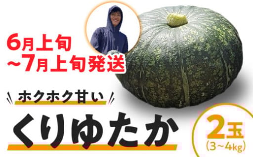 【2025年先行予約】春かぼちゃ（くりゆたか） 2玉のご紹介