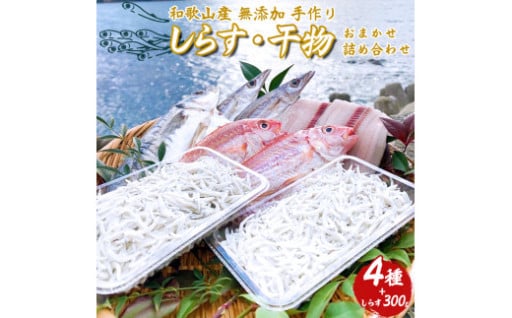 しらす ・ 干物 おまかせ詰め合わせ セット A