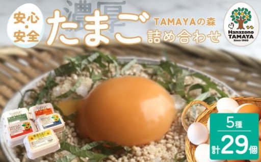 TAMAYAの森　たまご詰合せ