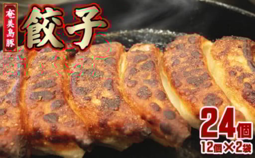 奄美島豚　餃子 24個　12個×2袋　約680g