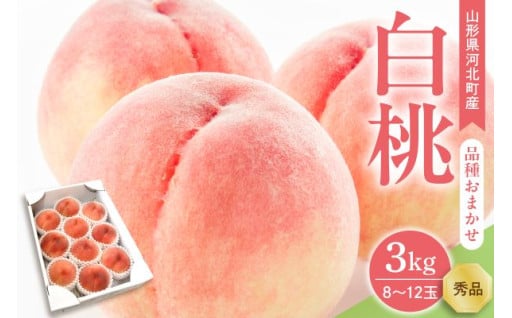 🍑【令和7年産】白桃 品種おまかせ 3kg (8～12玉前後) ギフト箱入🍑