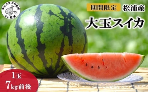 《松浦産！新鮮スイカを産地直送でお届け🍉》