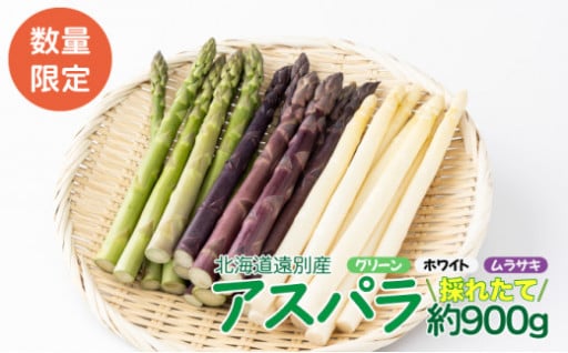 北海道北部　春の味覚「アスパラ」