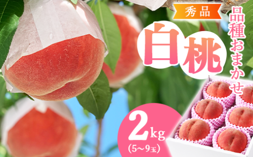 天然由来ミネラル肥料を活用し栽培した白桃