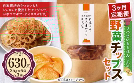 【 3ヶ月 定期便 】 さつまいも と レンコン の 野菜 チップス セット 6袋×3回 計18袋