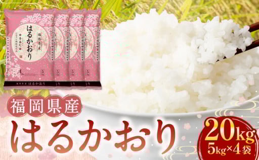 【令和6年産】福岡県産米 はるかおり 精米 20kg