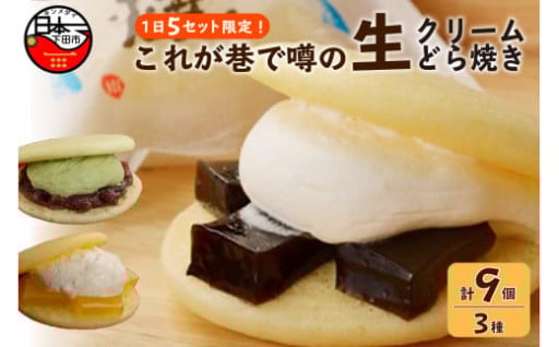 ＜平井製菓＞＜これが巷で噂の＞“生どら”Bセット