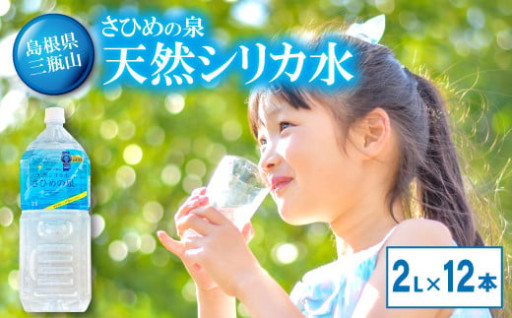 ナチュラルミネラルウォーター「さひめの泉」2L×6本×2箱