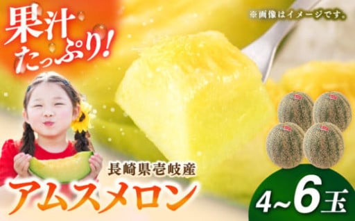 【受付終了間近】アムスメロン4～6玉					