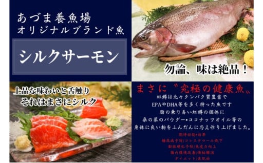 シルクサーモン漬けセット(GUNMA)