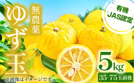 【有機JAS認定】無農薬 ゆず玉　5kg