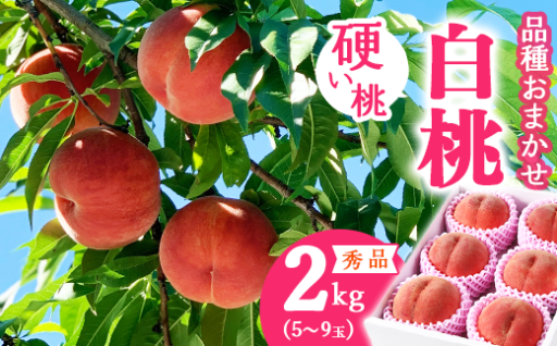 天然由来ミネラル肥料を活用し栽培した硬めの白桃
