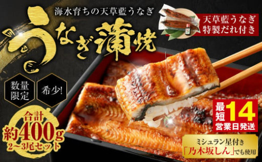 【ミシュラン星付きのプロが愛用】1日10セット限定！海水育ちの天草藍うなぎ 蒲焼き2～3尾セット 合計約400g