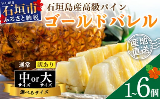 【選べる】石垣島産・ゴールドバレルパイン！