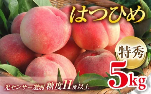 【5/30で受付終了】福島県産 はつひめ 5kg
