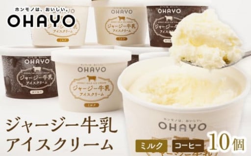 オハヨー乳業 ジャージー牛乳アイスクリーム 120ml×10個
