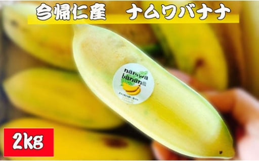 今帰仁村産ナムワバナナ（農薬不使用）2kg