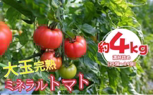 ミネラルトマト（大玉完熟トマト）4kg満杯詰め（15個～24個）