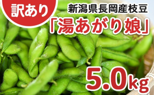 見た目を気にしない方におススメの枝豆B品5kg！