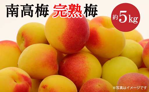 梅仕事におすすめ！毎年好評の完熟梅　予約中！
