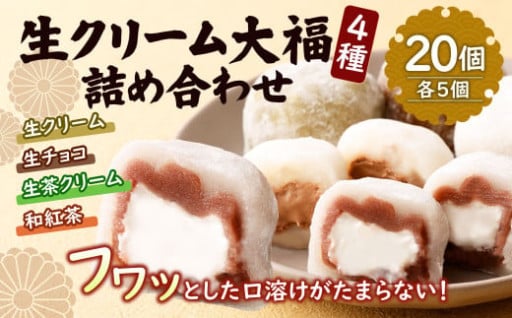 生クリーム 大福 20個入り ( 4種 詰め合わせ )