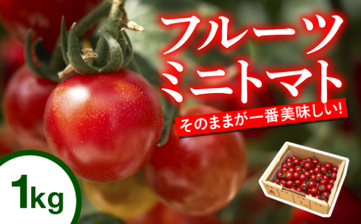 【お急ぎください】絶品フルーツミニトマト　販売期間終了間近です