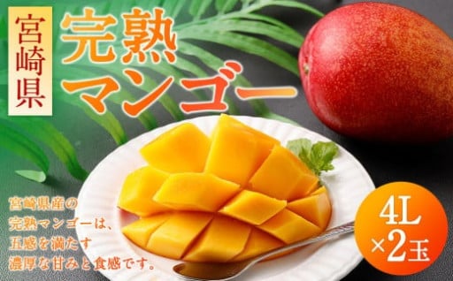 宮崎県 完熟マンゴー4L×2玉 1kg