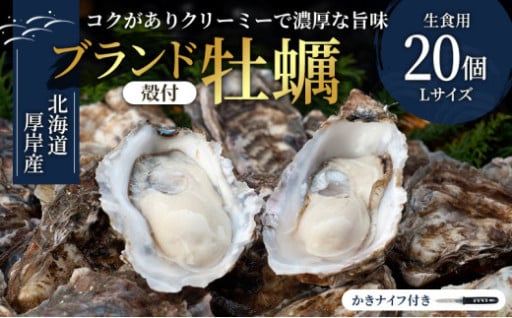 厚岸産　殻付カキLサイズ20個（生食用）