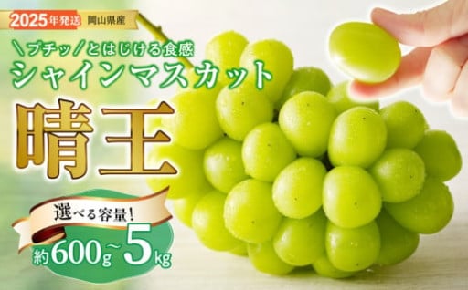 容量が選べる！厳しい基準をクリアしたシャインマスカット「晴王」🍇