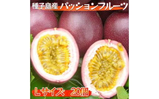 夏限定 種子島 の パッションフルーツ！！
