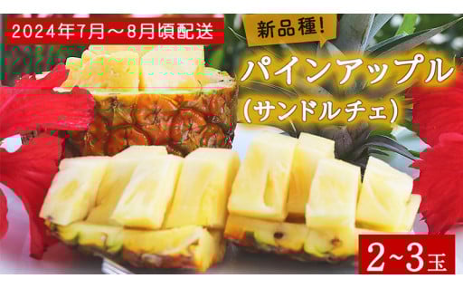 今帰仁産パインアップル（サンドルチェ）2～3玉