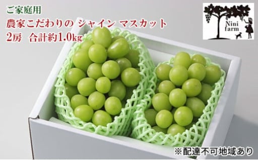 【平均糖度20度】 ご家庭用 農家こだわりの シャイン マスカット 2房 合計約1.0kg