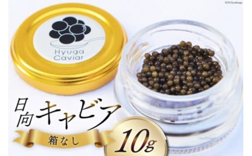 キャビア本来の濃厚な味を愉しむフレッシュキャビア