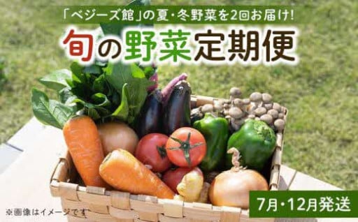採れたておいしい新鮮旬野菜！！【年2回コース】