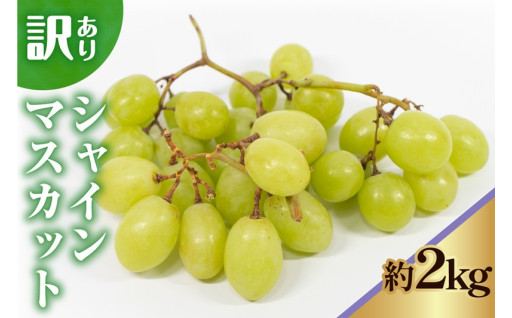 🍇《 先行予約 / 令和7年産 》 訳ありシャインマスカット2kg🍇
