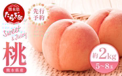 【先行予約】 桃 (5～8玉) 約 2kg