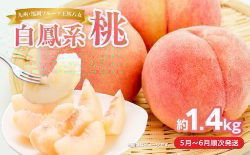 福岡フルーツ王国八女から直送！桃 約1.4kg