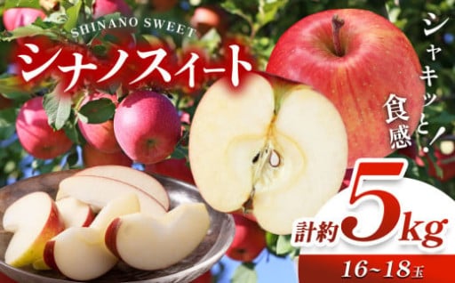 【2025年 先行予約】 シナノスイート 計約5kg （16 ～ 18 玉 ）