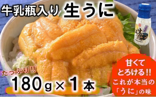 【期間限定】 牛乳瓶入り 生うに 180g×1本
